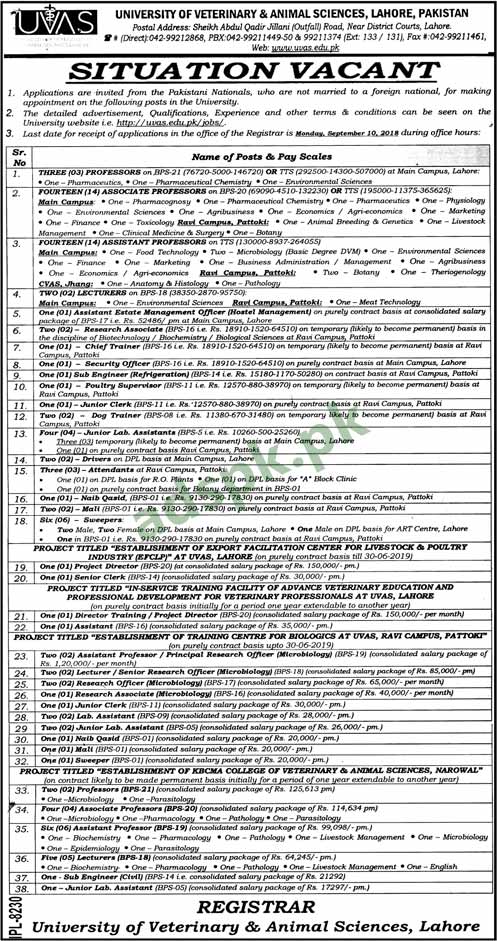 UVAS Lahore Jobs 2018 Professors Associate Professors Assistant Professors and Other Staff Jobs Application Form Deadline 10-09-2018 Apply Now